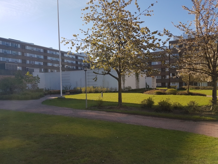 Kv Carolus – Malmö